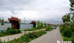 青海农村最新爆料消息今天,揭秘乡村振兴背后的故事